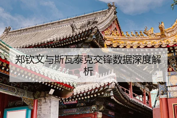 郑钦文与斯瓦泰克交锋数据深度解析
